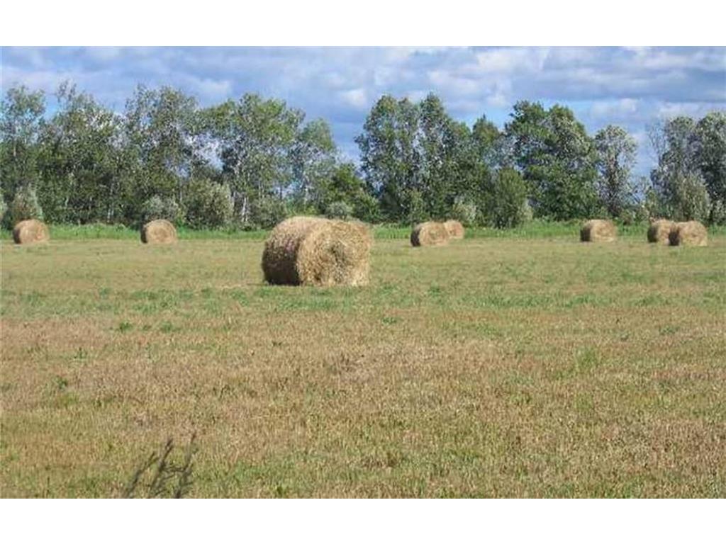 xxx Hwy 107 Pokegama Twp MN 55030 6512932 image1