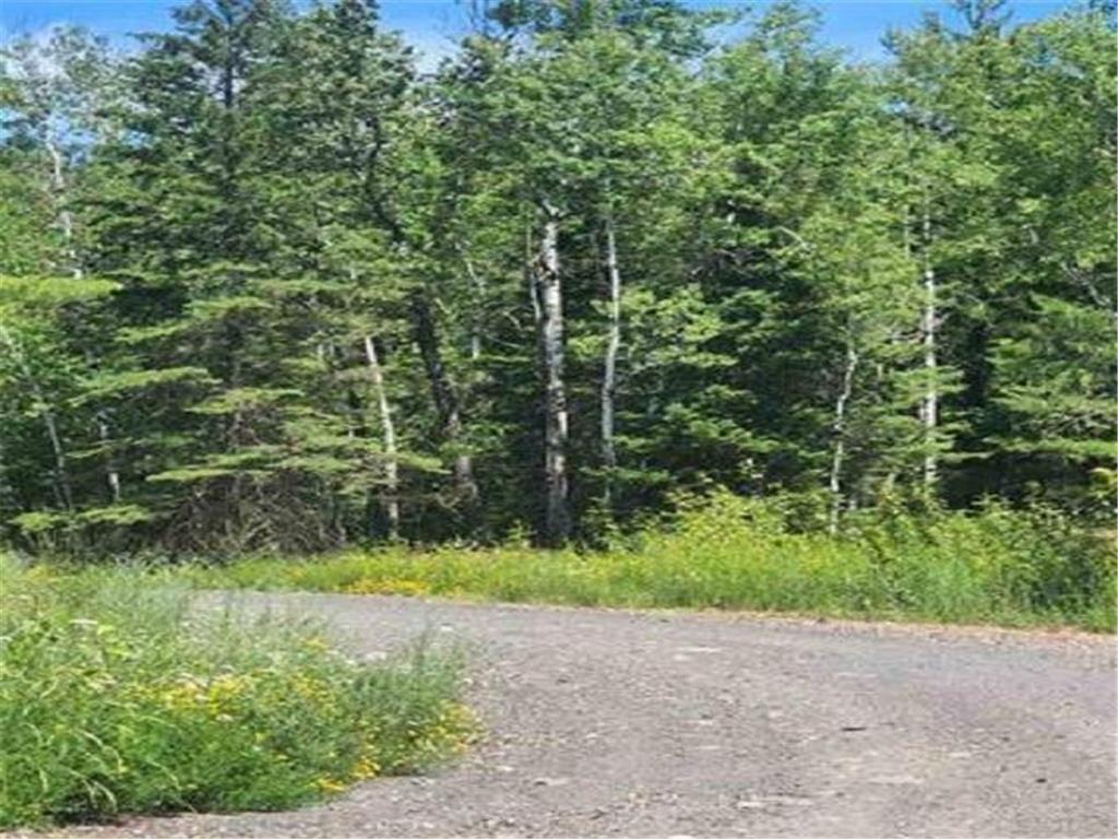 xxx Hwy 110 White Twp MN 55705 6403847 image1