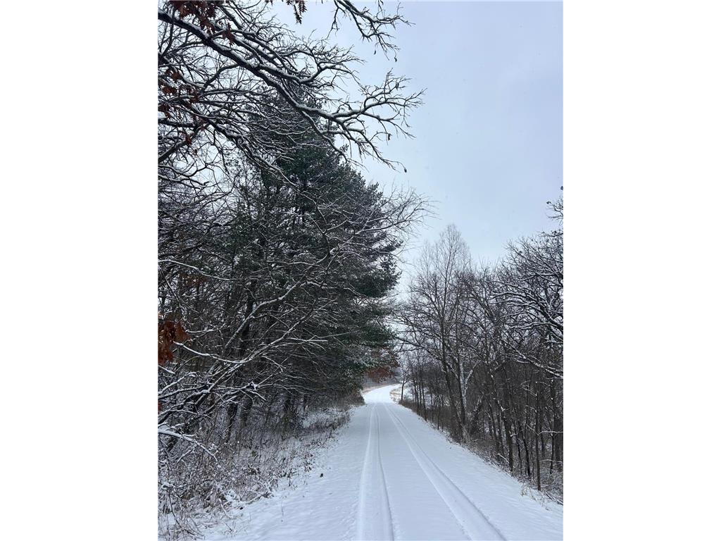xxx Hwy. 52 Fountain MN 55935 7021350 image11