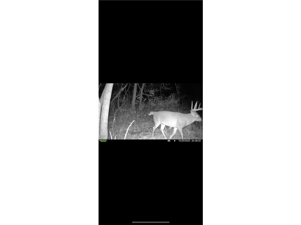 xxx Hwy. 52 Fountain MN 55935 7021350 image13