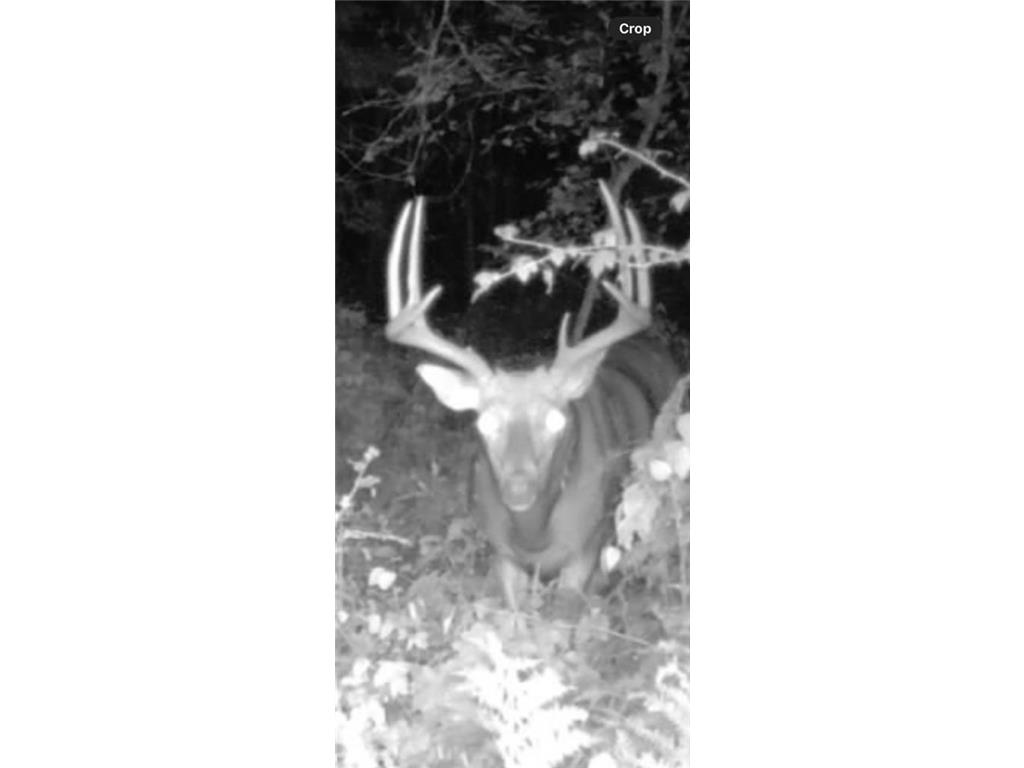 xxx Hwy. 52 Fountain MN 55935 7021350 image14