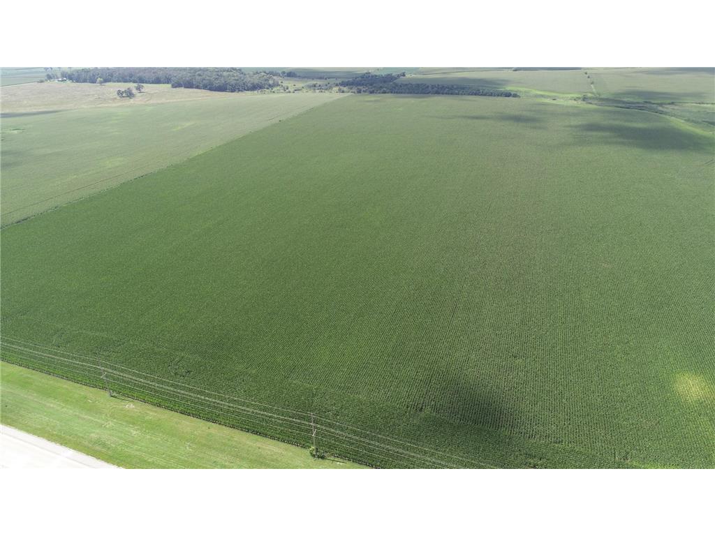 xxx Hwy 63 South Bloomfield Twp MN 55975 6773281 image11