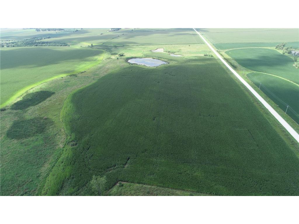 xxx Hwy 63 South Bloomfield Twp MN 55975 6773281 image14