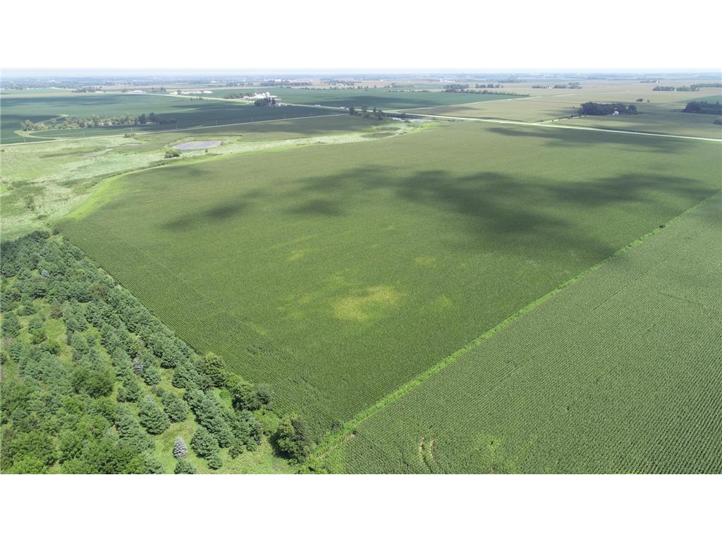 xxx Hwy 63 South Bloomfield Twp MN 55975 6773281 image3