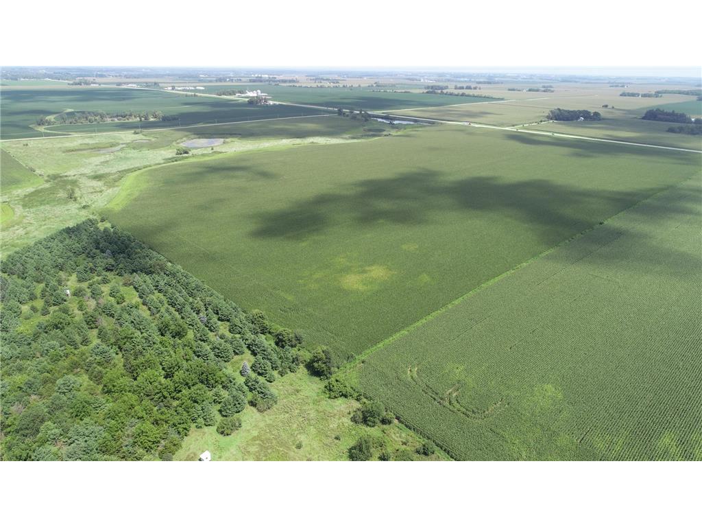 xxx Hwy 63 South Bloomfield Twp MN 55975 6773281 image4