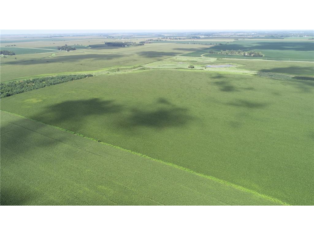 xxx Hwy 63 South Bloomfield Twp MN 55975 6773281 image6