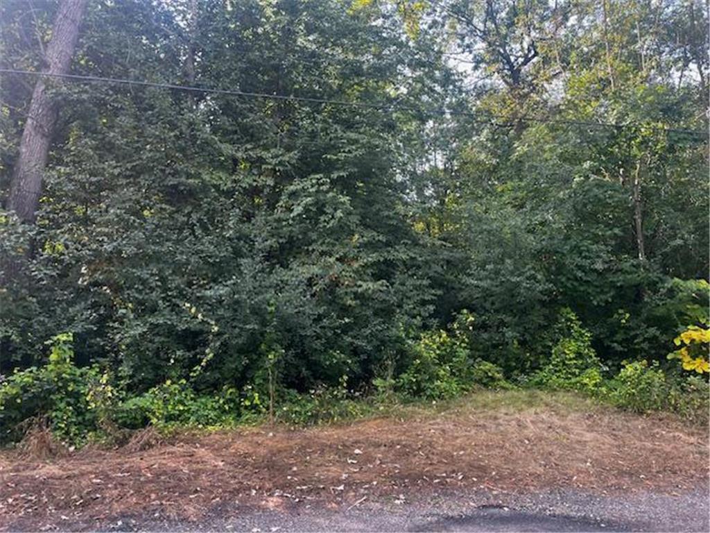 xxx Ibis Drive Buffalo MN 55313 - Pulaski 6788371 image1