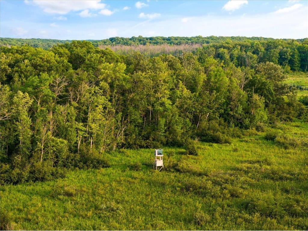 xxx Ivory Street Isle MN 56342 6409997 image1