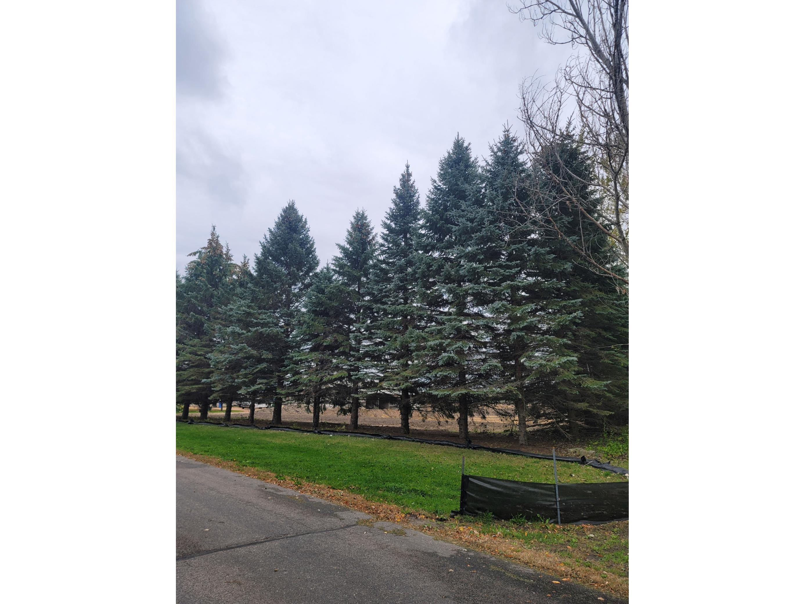 xxx Janett Saint Michael MN 55376 - Wilhelm 6113817 image1