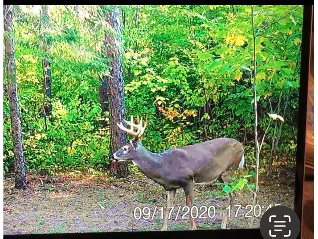 xxx Kettlewell Lane Sandstone MN 55072 6435228 image1