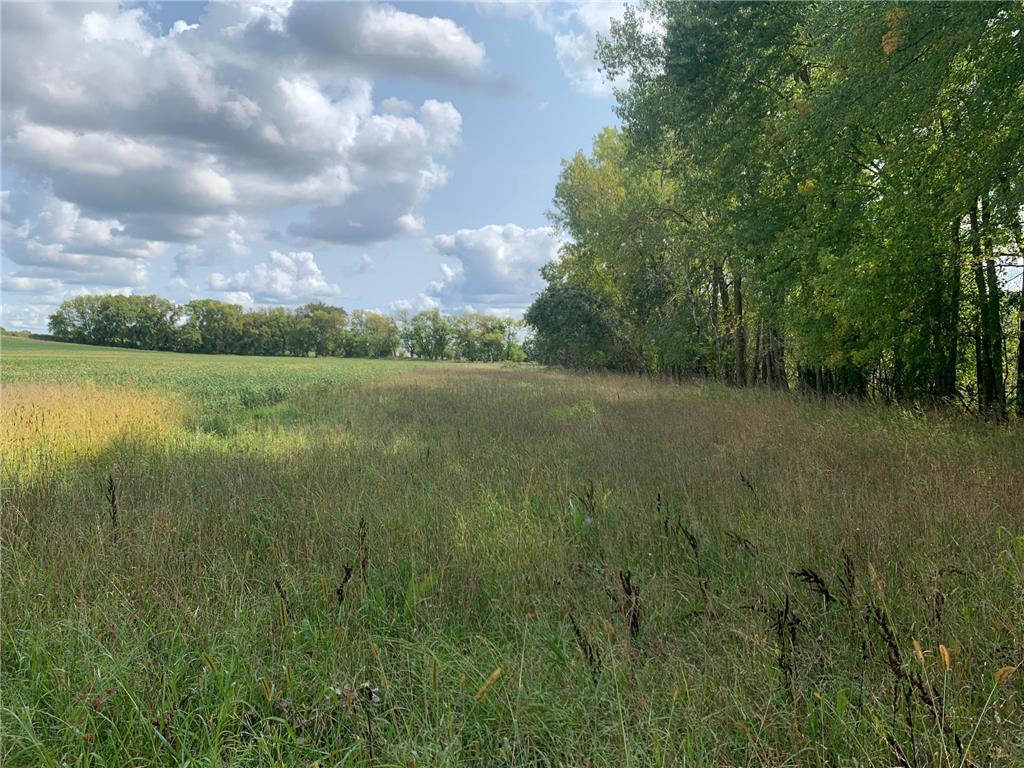 xxx Keystone Avenue N May Twp MN 55038 7005566 image2