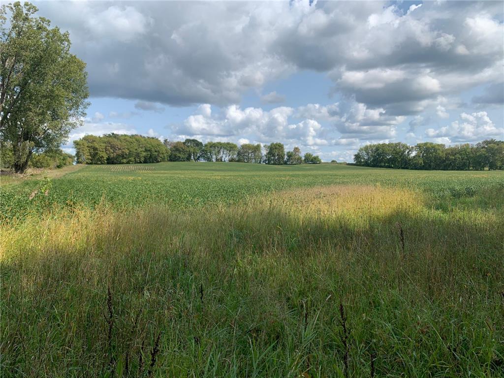 xxx Keystone Avenue N May Twp MN 55038 7005566 image3