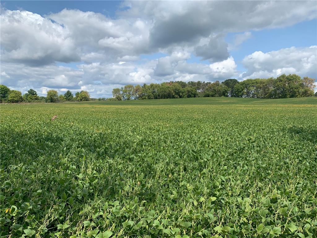 xxx Keystone Avenue N May Twp MN 55038 7005566 image5