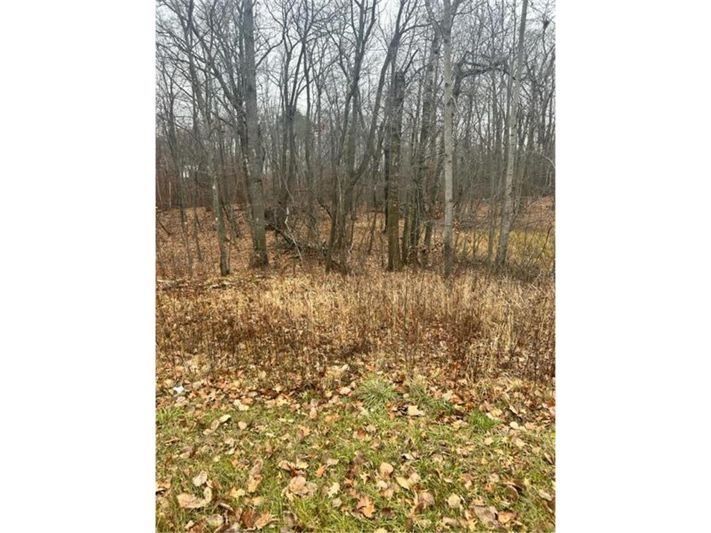 xxx Lake Camile Cushing MN 56443 6459362 image1