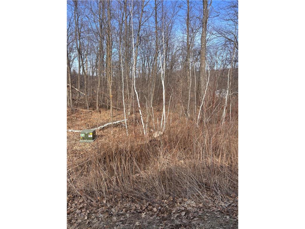 xxx Lake Camile Rd Cushing MN 56443 6503065 image1