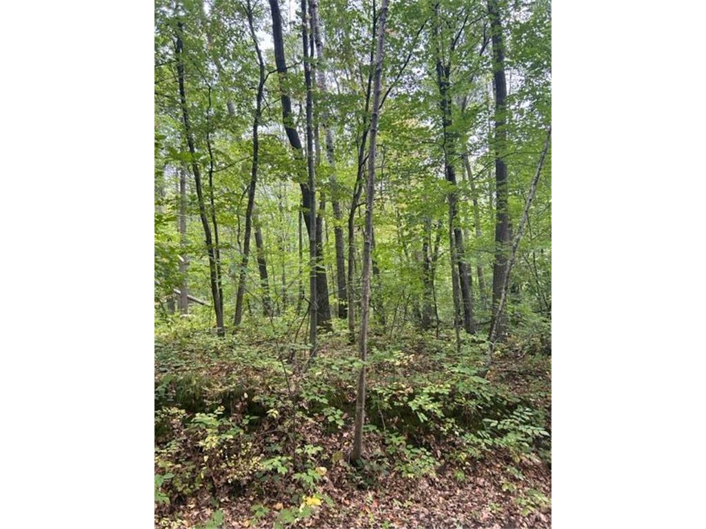 xxx Lake Camile Rd Cushing Twp MN 56443 6685493 image1