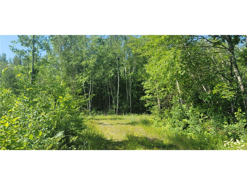 xxx Larsen Rd Hayward WI 54843 6395558 image1