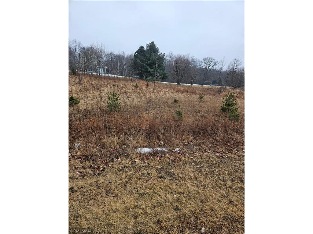 xxx Little Falls Circle Black Brook Twp WI 54001 - Trident Lake 6680960 image3
