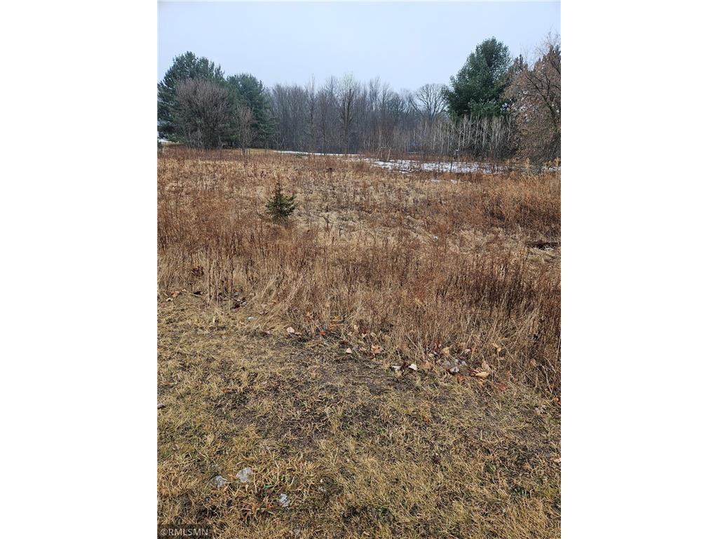 xxx Little Falls Circle Black Brook Twp WI 54001 - Trident Lake 6680960 image5