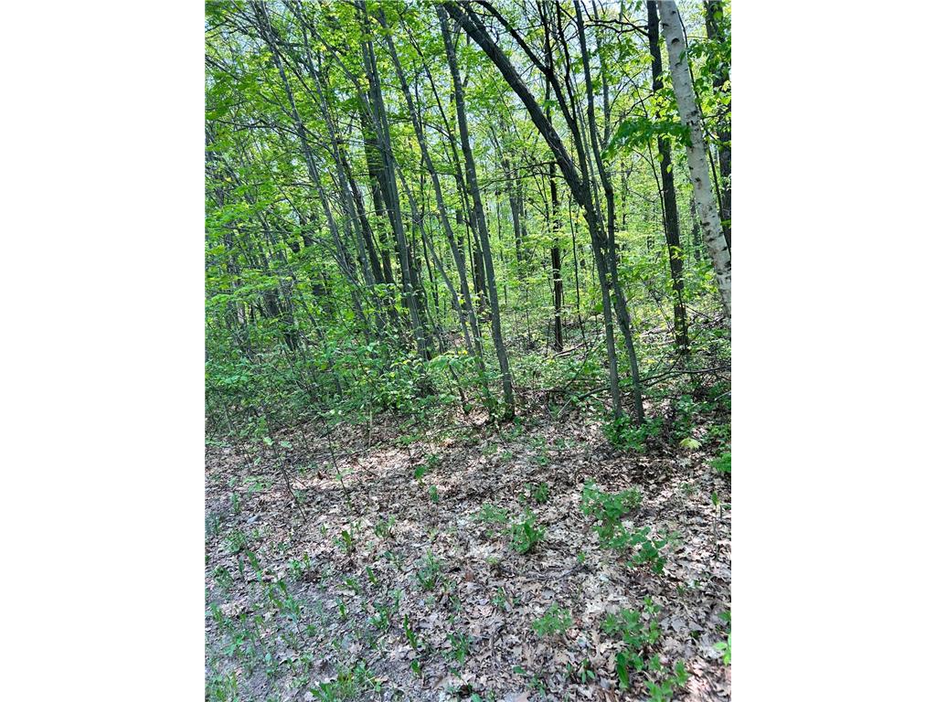 xxx Lost Lake Trail Cushing MN 56443 6374920 image1