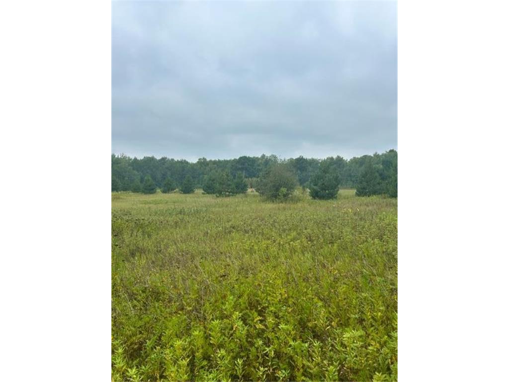 xxx Lost Lake Trail Cushing MN 56443 6430776 image1