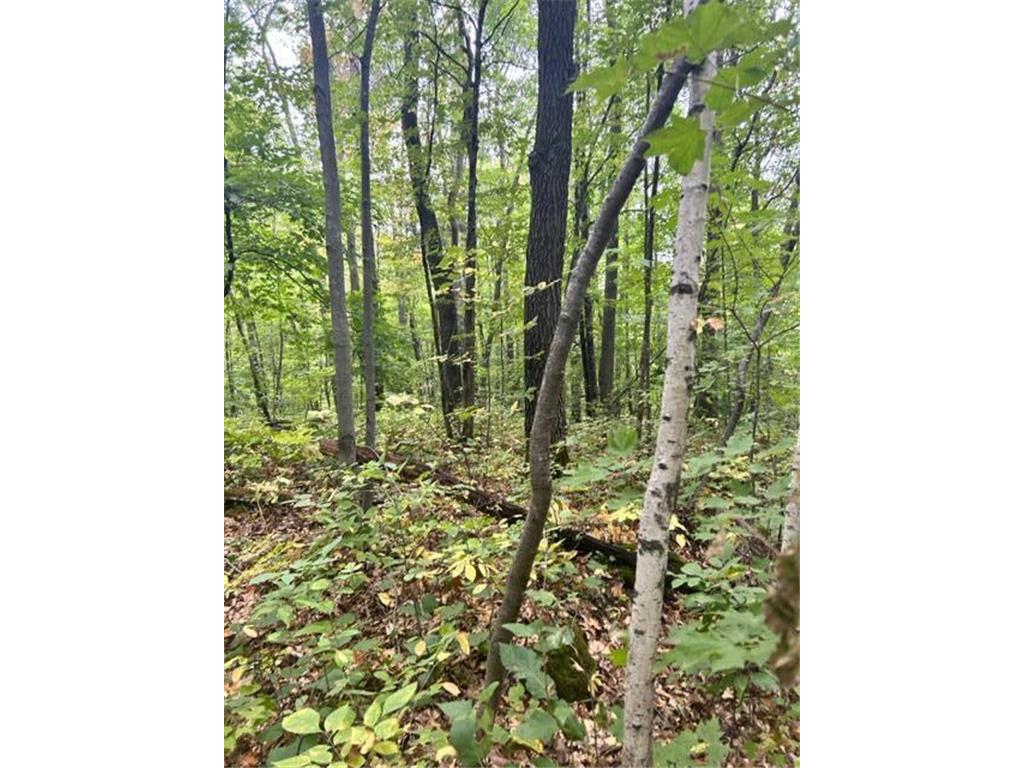 xxx Lost Lake Trl Cushing Twp MN 56443 6685525 image1