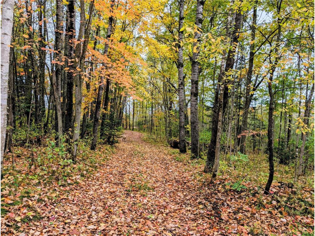 xxx Lot 1 State Highway 64 Cornell WI 54732 6826155 image13