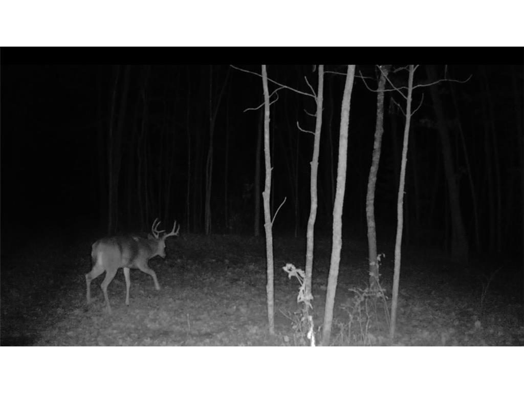 xxx Lot 1 State Highway 64 Cornell WI 54732 6826155 image16