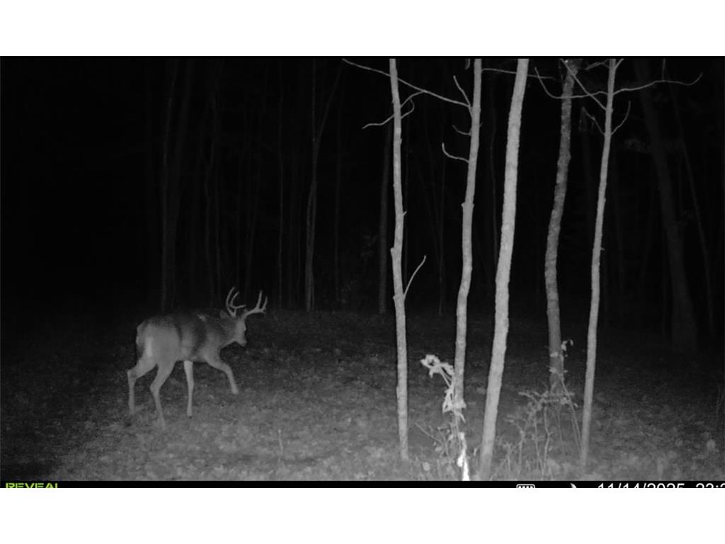 xxx Lot 1 State Highway 64 Cornell WI 54732 6826155 image17