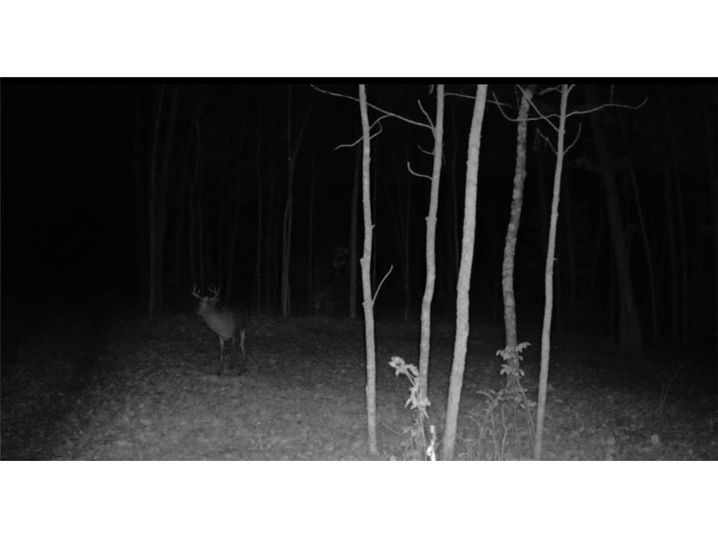 xxx Lot 1 State Highway 64 Cornell WI 54732 6826155 image18