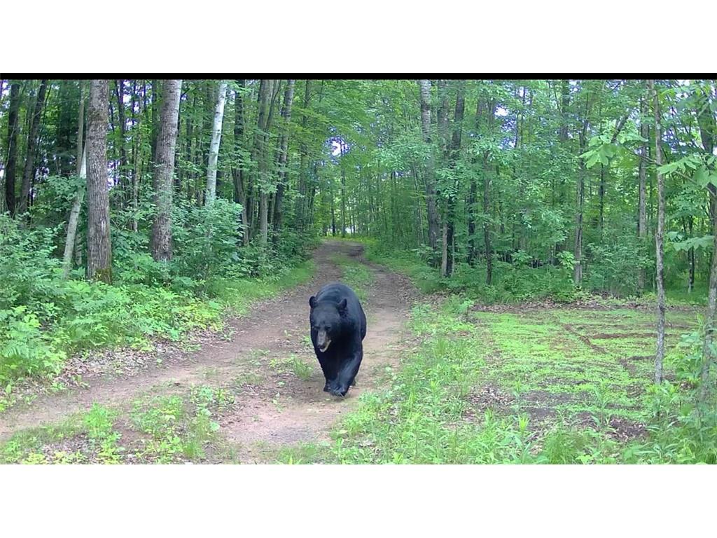 xxx Lot 1 State Highway 64 Cornell WI 54732 6826155 image19