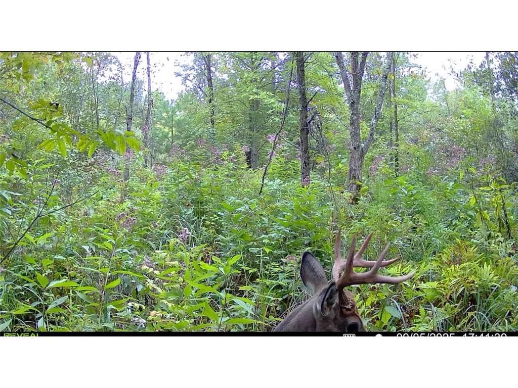 xxx Lot 1 State Highway 64 Cornell WI 54732 6826155 image20