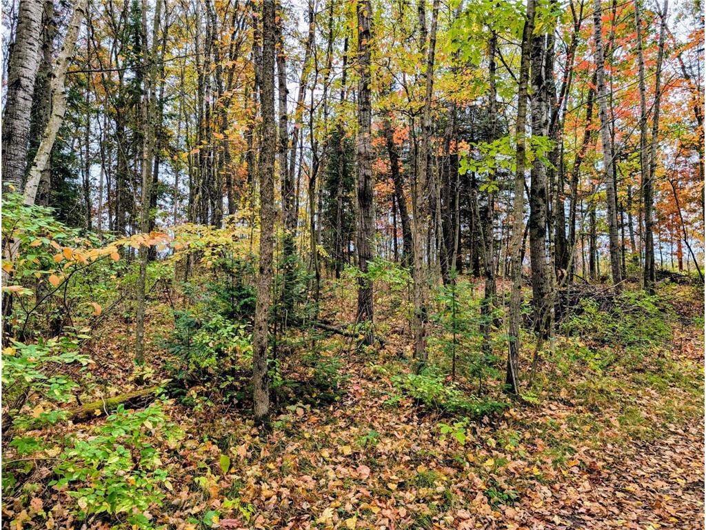 xxx Lot 1 State Highway 64 Cornell WI 54732 6826155 image6