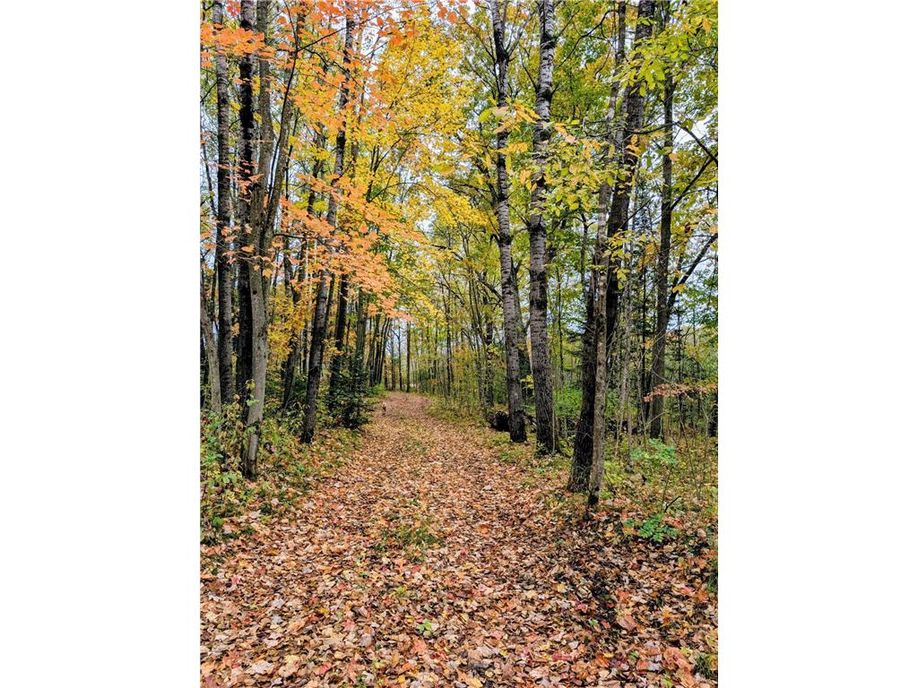 xxx Lot 1 State Highway 64 Cornell WI 54732 6826155 image7