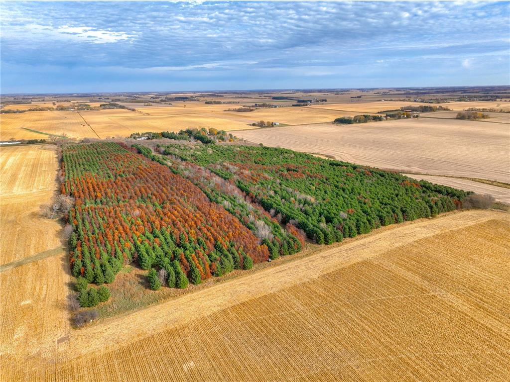 xxx Lot#17 110th Avenue Hammond WI 54015 6706248 image3