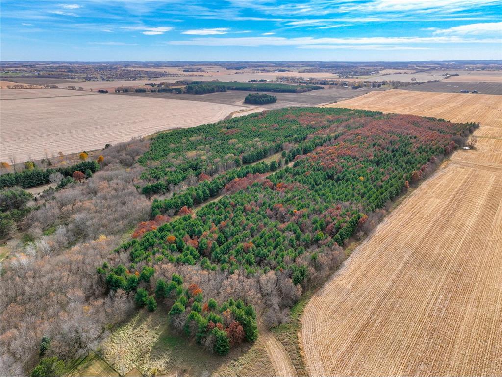 xxx Lot#18 110th Avenue Hammond WI 54015 6706257 image7
