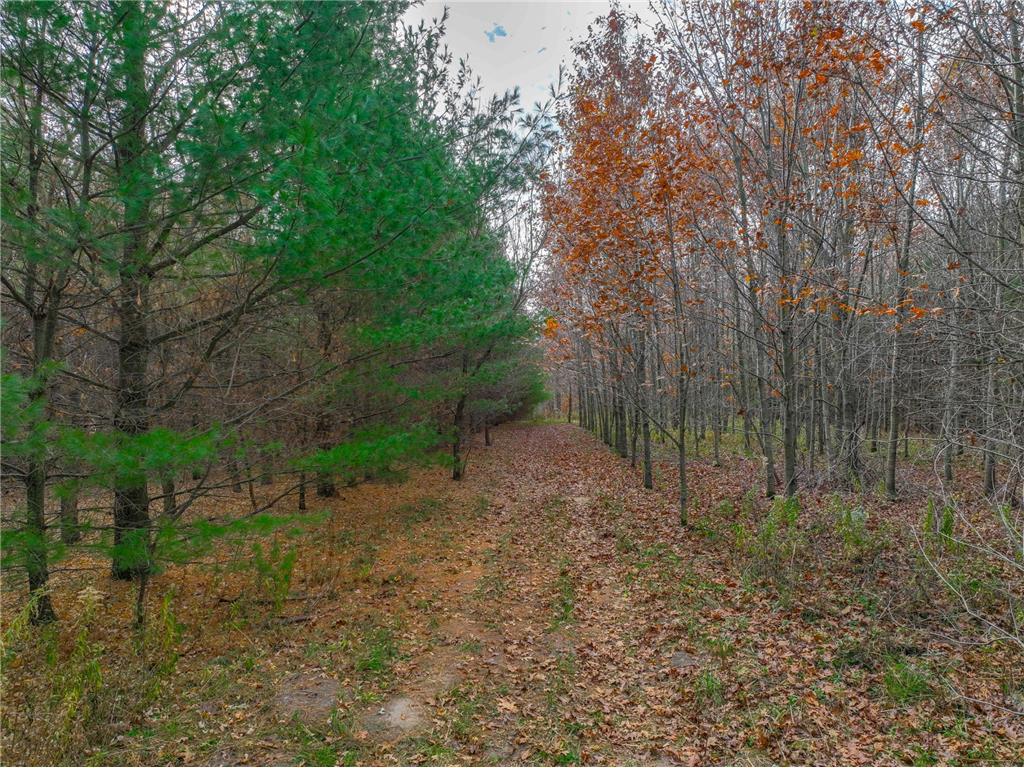 xxx Lot#19 110th Avenue Hammond WI 54015 6706264 image4