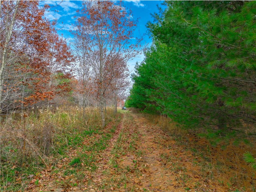 xxx Lot #4 110th Avenue Hammond WI 54015 6706240 image5