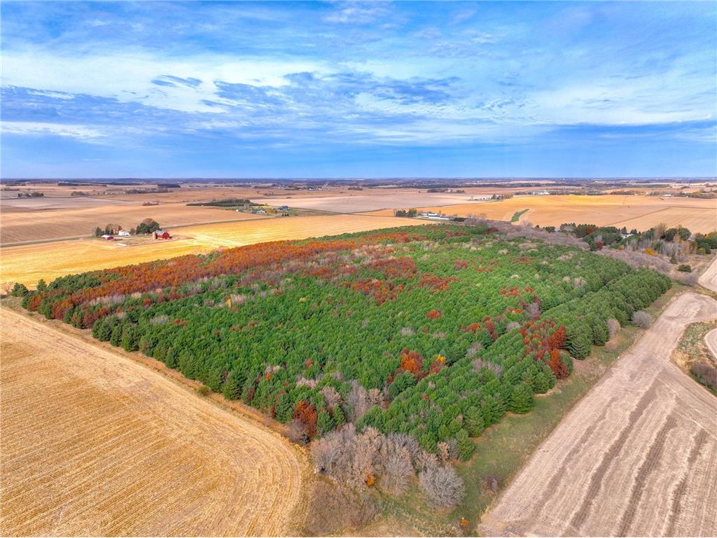 xxx Lot #5 110th Avenue Hammond WI 54015 6706167 image6