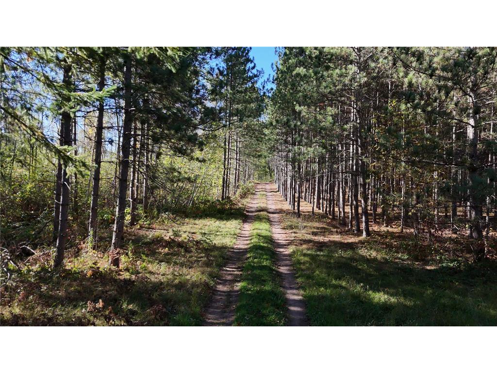 xxx Mann Road Spooner WI 54801 - Spooner 7061690 image14