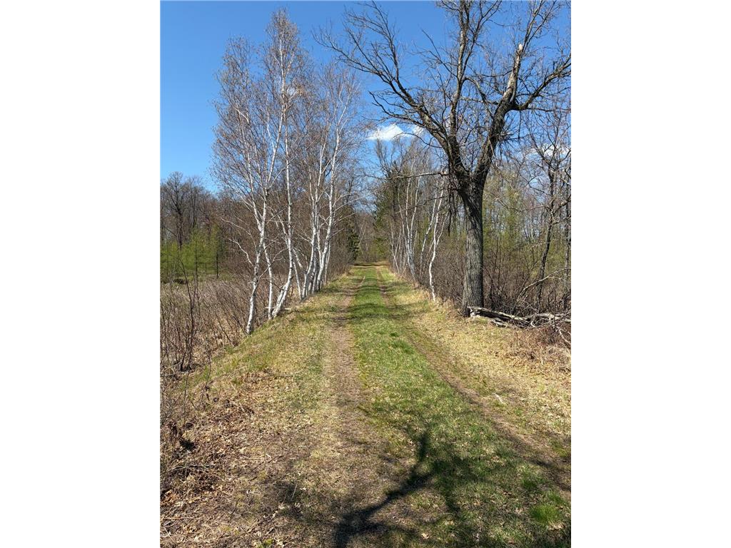 xxx Mann Road Spooner WI 54801 - Spooner 7061690 image17