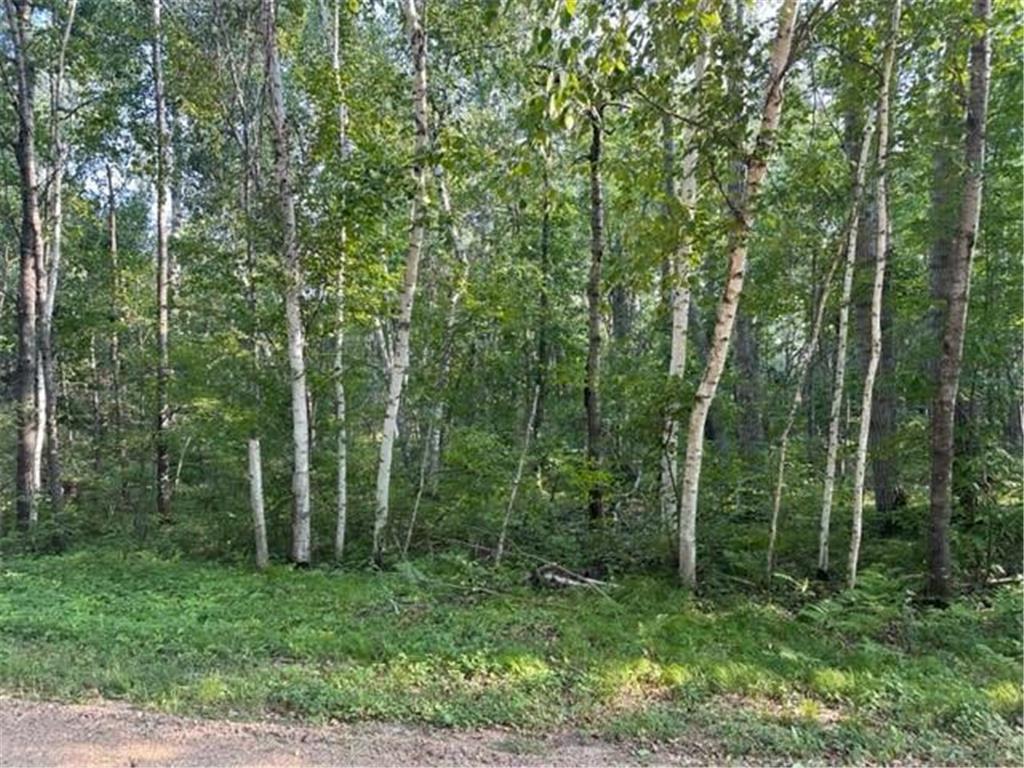 xxx Maya Circle Breezy Point MN 56472 6420197 image1