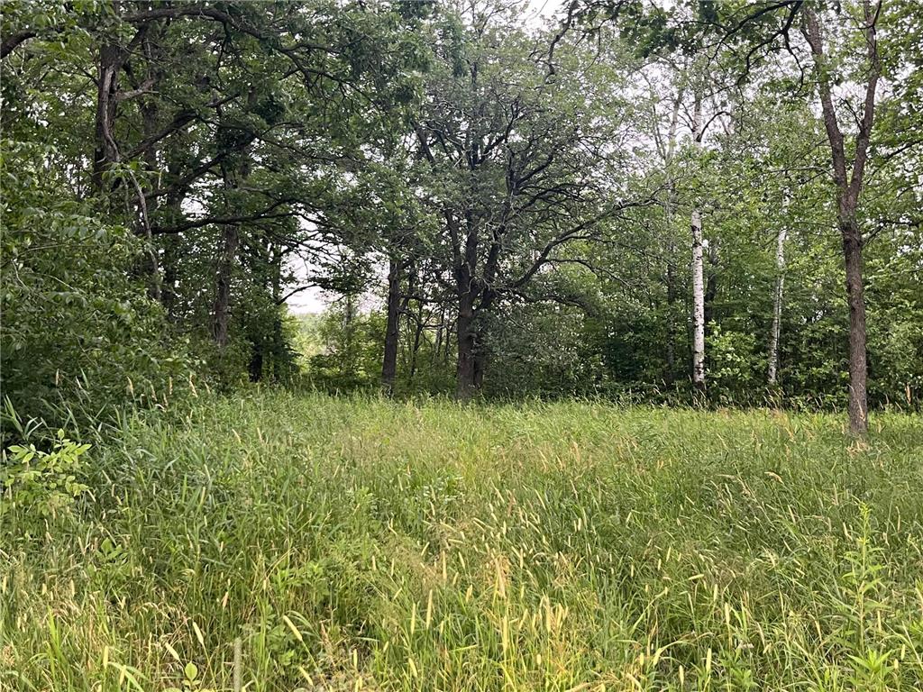 xxx McNally Road Willow River MN 55795 6576343 image1