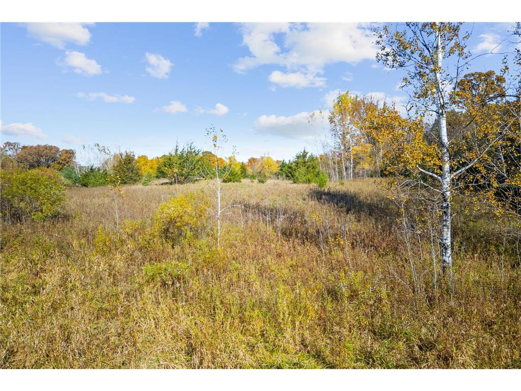 xxx Meadowvale Road Elk River MN 55330 6795196 image7