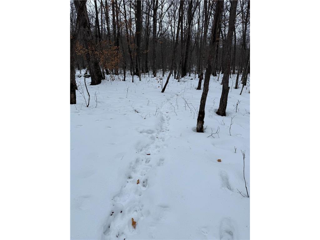 xxx Merlin Road Dailey Twp MN 56338 7049829 image10