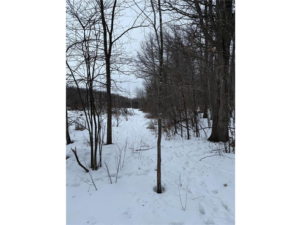xxx Merlin Road Dailey Twp MN 56338 7049829 image11