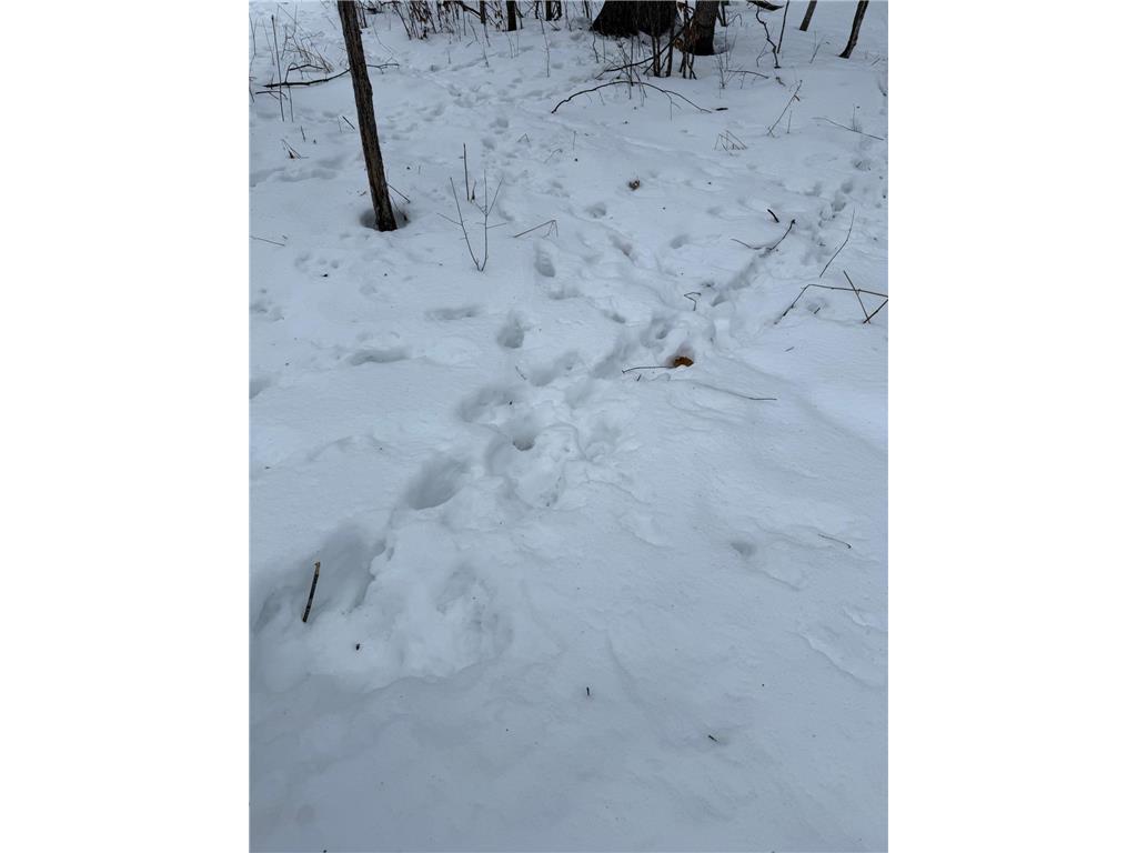 xxx Merlin Road Dailey Twp MN 56338 7049829 image12