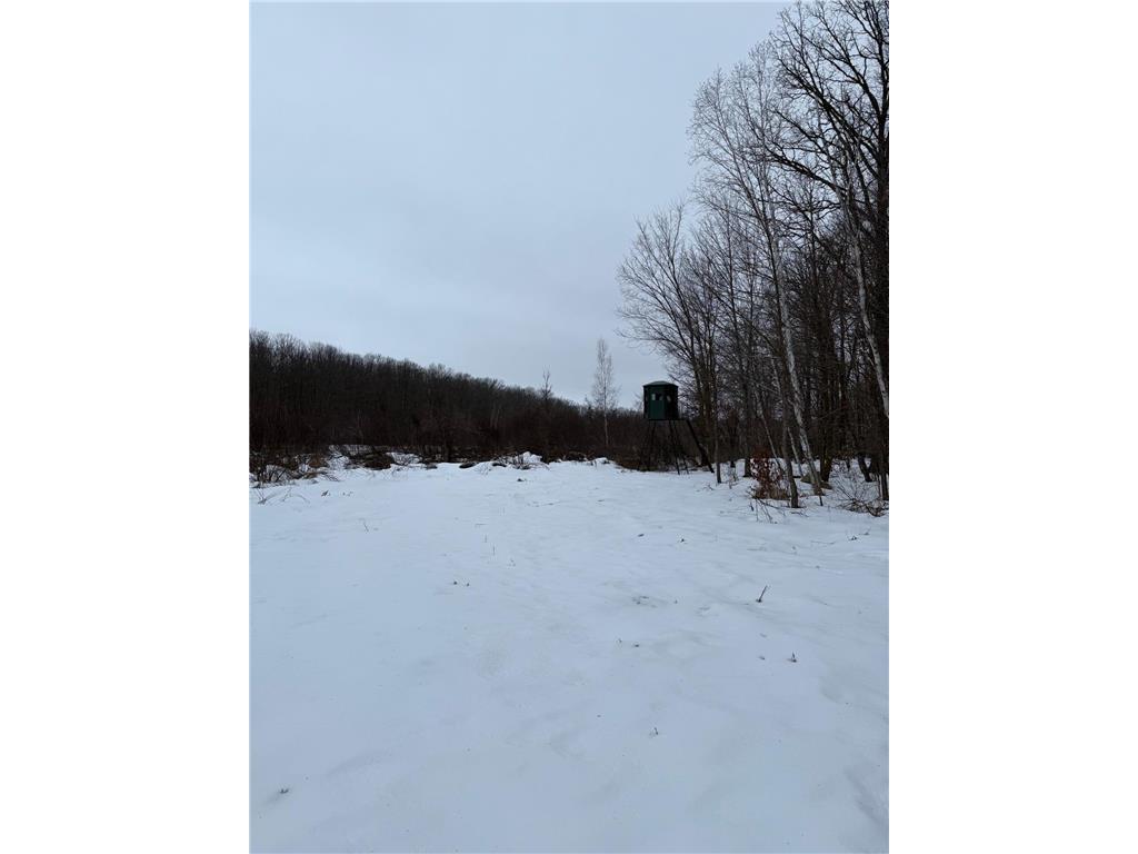 xxx Merlin Road Dailey Twp MN 56338 7049829 image13