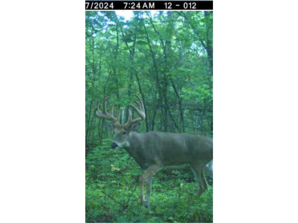 xxx Merlin Road Dailey Twp MN 56338 7049829 image16