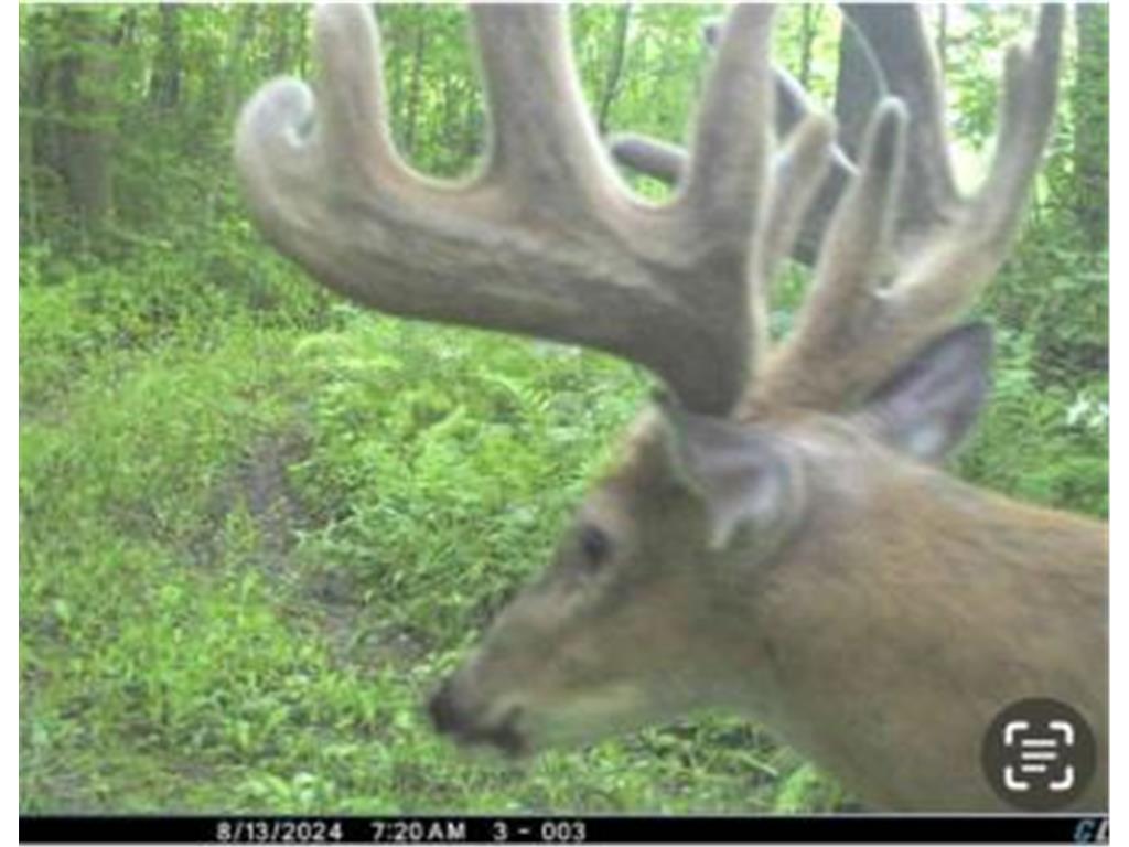 xxx Merlin Road Dailey Twp MN 56338 7049829 image17